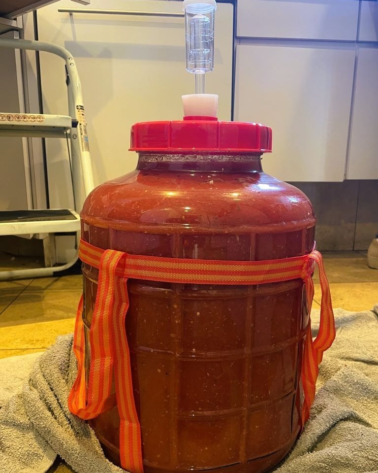 fermentation